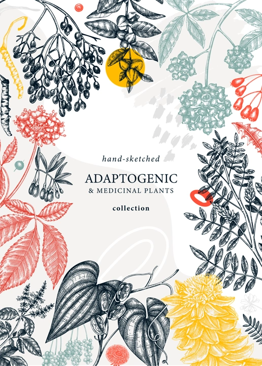 Botanical collage style design with hand-sketched adaptogenic and medicinal  herbs, weeds, berries, leaves. Adaptogenic plants vector card. Perfect for trendy label, packaging, banner, invitations